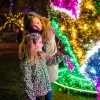 Garden of Lights Fénykert télen a Fűvészkertben! Jegyek itt!