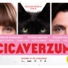 Sztárokkal érkezik a Cicaverzum! Előzetes itt!