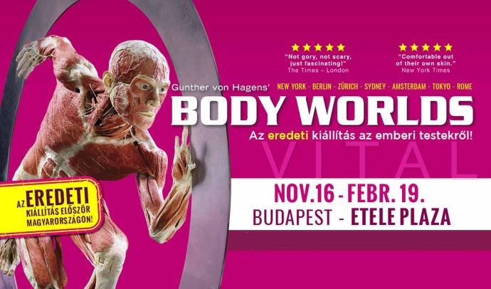 BODY WORLDS kiállítás 2023-ban is az Etele Pálázában! Jegyek, jegyárak itt!